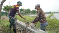 IMG-20250308-WA0028