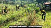 IMG-20250513-WA0005