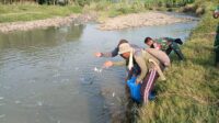 IMG-20260712-WA0015